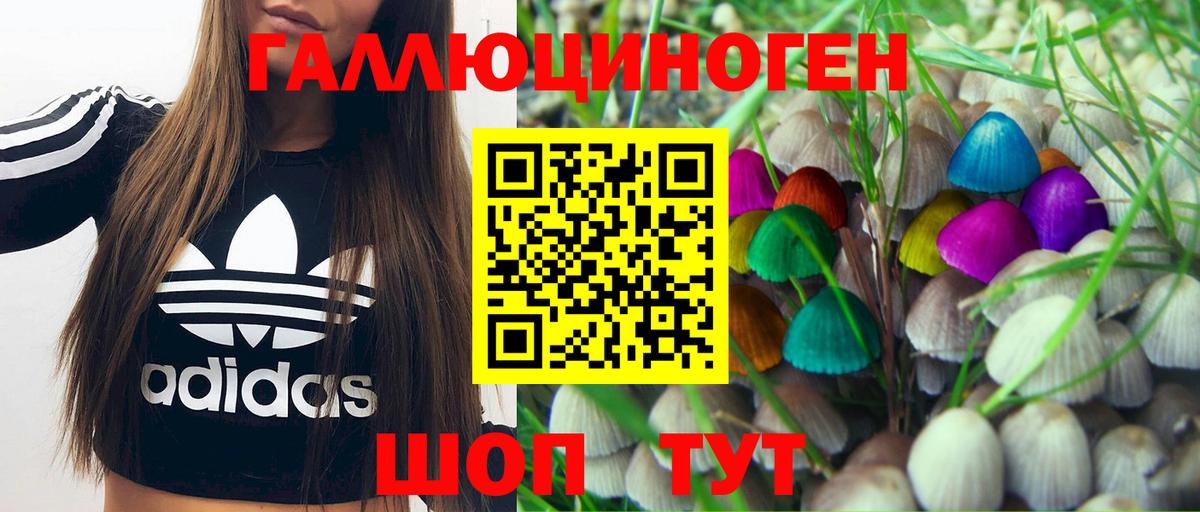 Шумерля  как найти   Вход с VPN  Псилоцибиновые грибы Psilocybe 